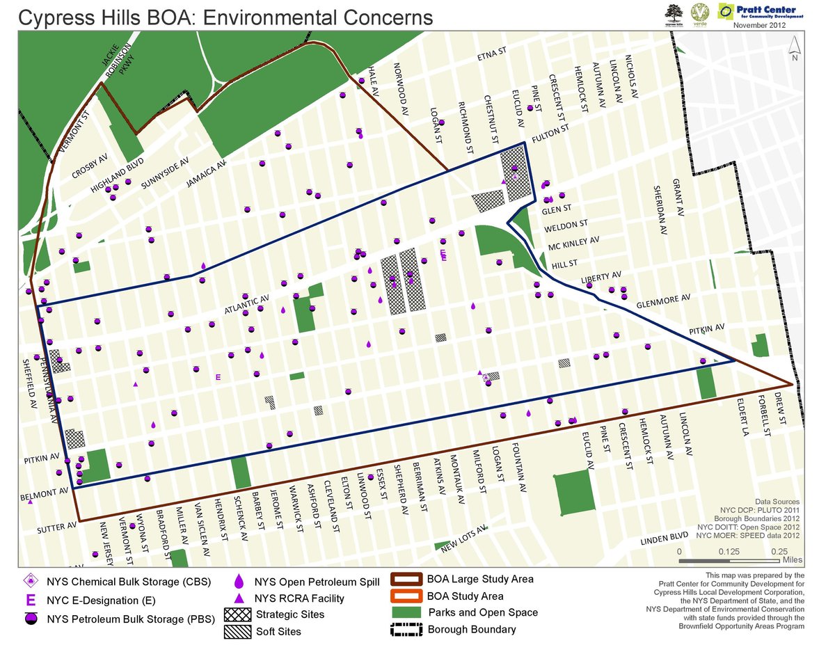 Map highlighting areas of environmental concern in Cypress Hills, Brooklyn