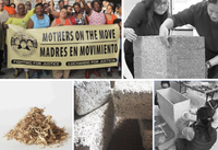 Compilation of images of bio-based materials and mothers on the move-the bronx nonprofit.